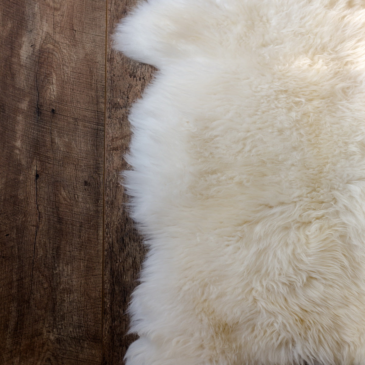 Premium New Zealand Sheepskin, Sexto 6' x 6' , X-Large, Ivory