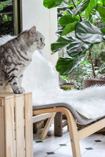 Load image into Gallery viewer, Natural Shape Sheepskin 4&#39;x6&#39;